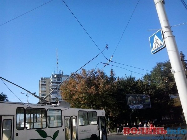 У Луцьку обірвалася лінія електропередач біля ЦУМа. ФОТО