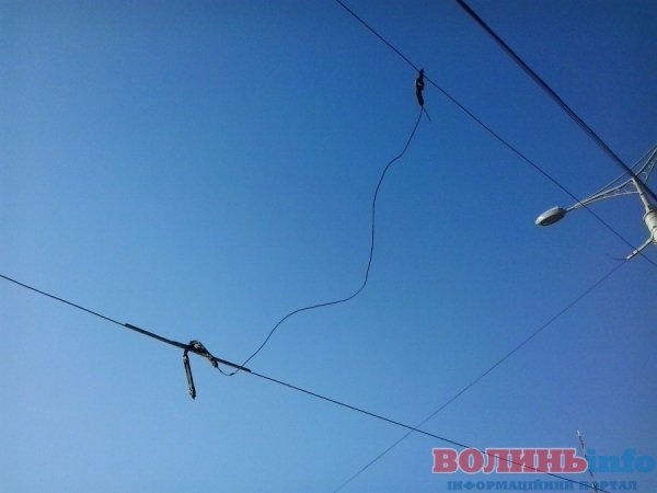 У Луцьку обірвалася лінія електропередач біля ЦУМа. ФОТО