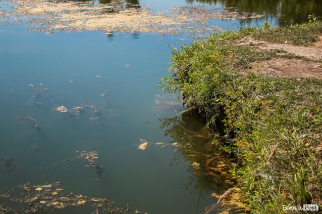 Безіменна вулиця і неназваний ставок: чим особливий неквапливий Вишків. ФОТО