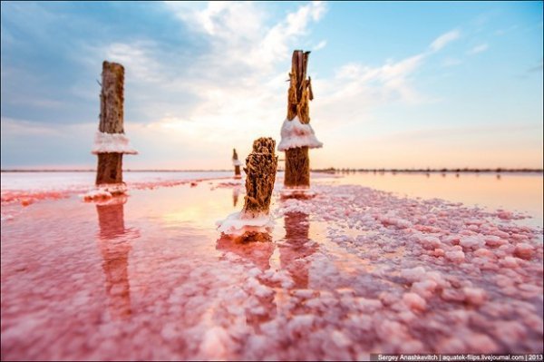 Соляні квіти та багряні ріки Криму. ФОТО