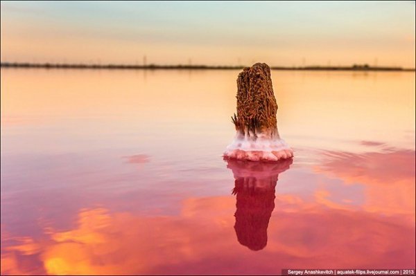 Соляні квіти та багряні ріки Криму. ФОТО