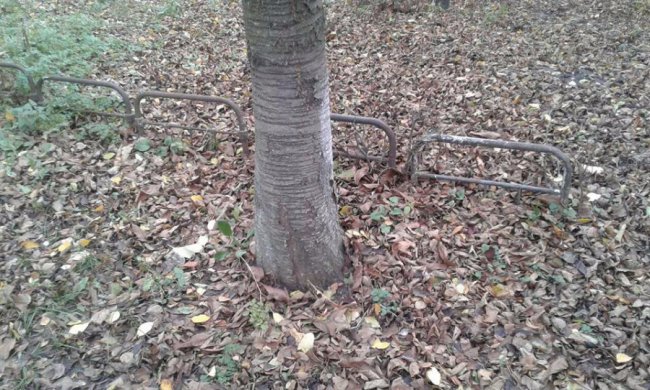 Луцькі муніципали  «борються» з незаконними огорожами