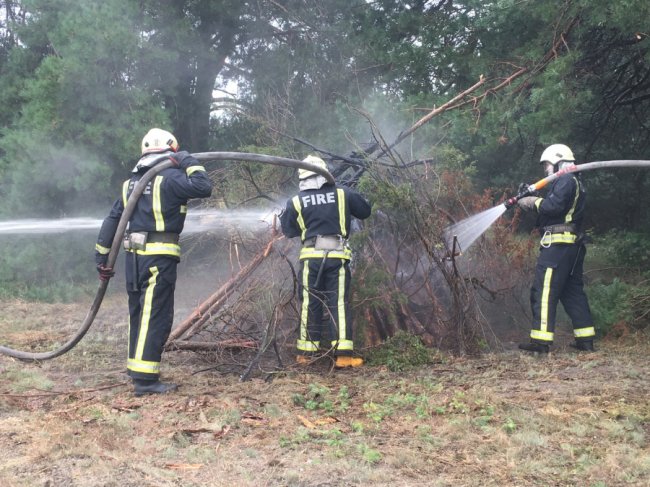 Волинські лісівники та рятувальники тренувалися гасити лісові пожежі. ФОТО