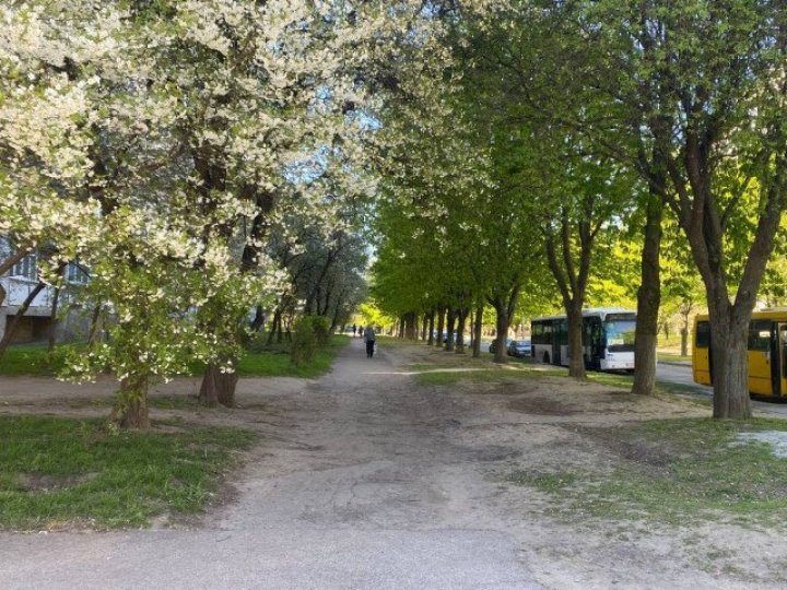 Ями та вибоїни: у Луцьку просять відремонтувати тротуар на бульварі Івана Газюка