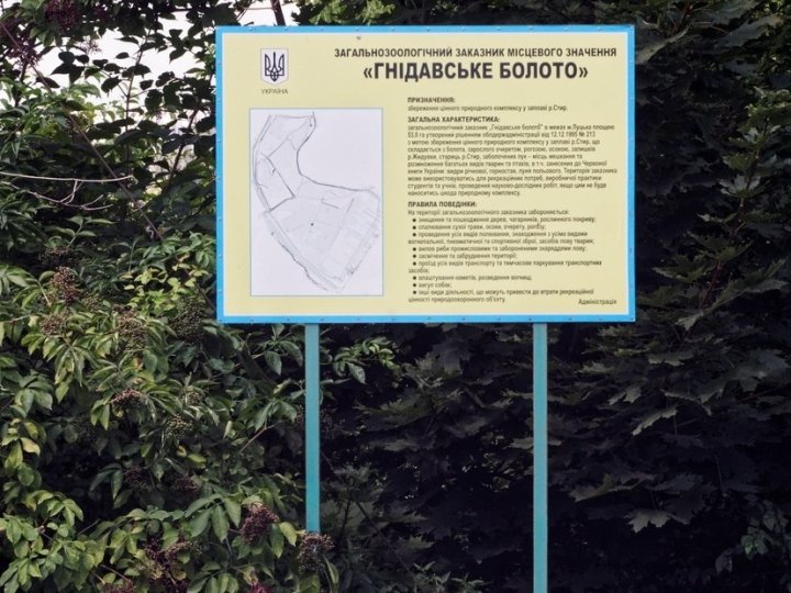 Судять чиновницю ГУ Держгеокадастру, яка «передала» у приватну власність гектар «Гнідавського болота» у Луцьку