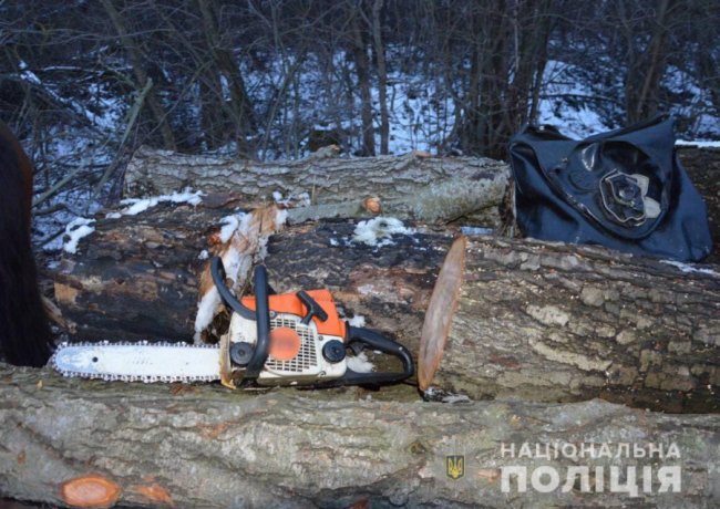 На Волині затримали вантажівку та кінну підводу з незаконним лісом. ФОТО