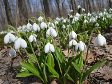 Погода у Луцьку на завтра, 26 березня