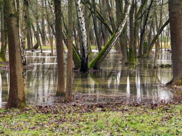 Третину центрального парку в Луцьку затопило. ВІДЕО