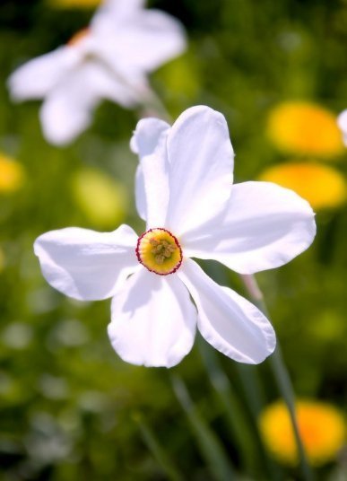 Фотовиставка: Роман Поліщук