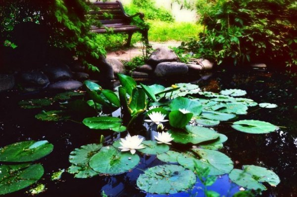 Фотовиставка: Роман Поліщук