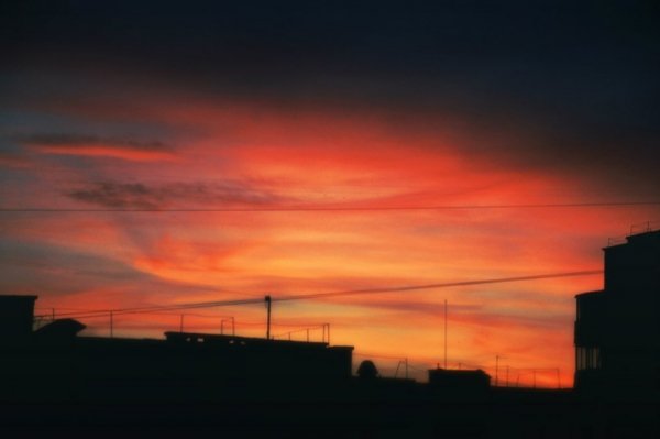 Фотовиставка: Роман Поліщук