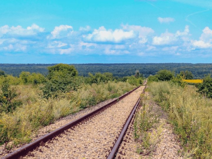 Засіяв ділянку біля колії: волинянин уник покарання за розорювання земель Укрзалізниці