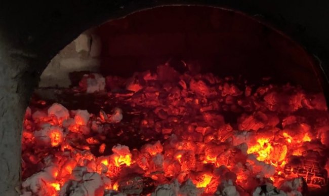 Солоха із волинського села стала зіркою ТікТоку