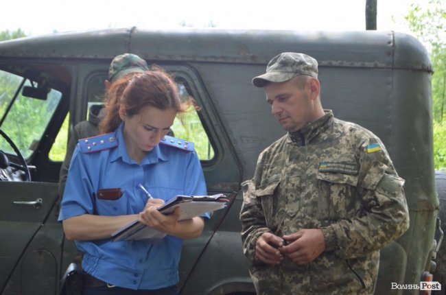 Цуманська пуща