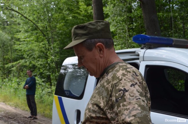 Цуманська пуща