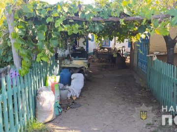 На Вінниччині п'яний рецидивіст викрав та намагався зґвалтувати 11-річну дівчинку