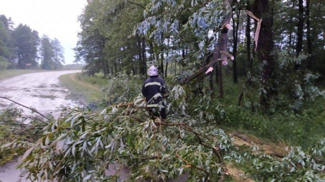 На Волині рятувальники з бензопилами боролись із негодою. ФОТО