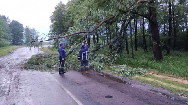 На Волині рятувальники з бензопилами боролись із негодою. ФОТО