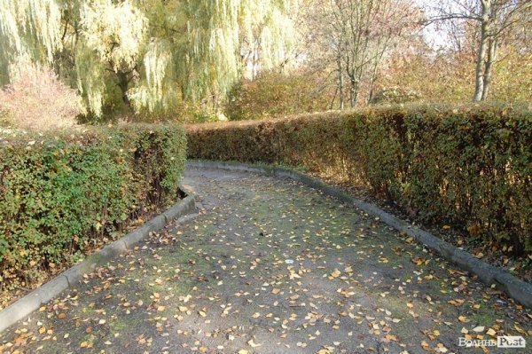 Парк у Луцьку: осіння краса і людська байдужість. ФОТО
