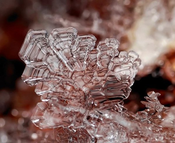 У мережі з’явились неймовірні «портрети» сніжинок. ФОТО