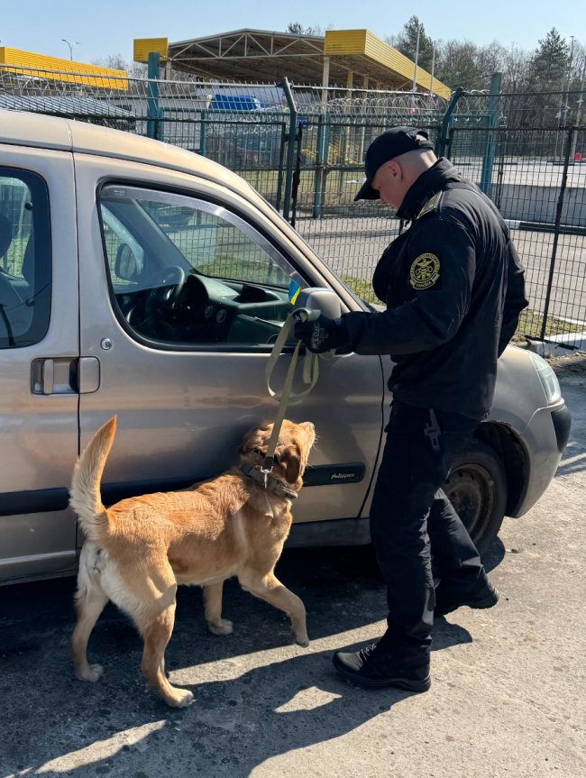 На «Устилузі» та «Ягодині» чотирилапі помічники винюхали у пасажирів наркотичні речовини