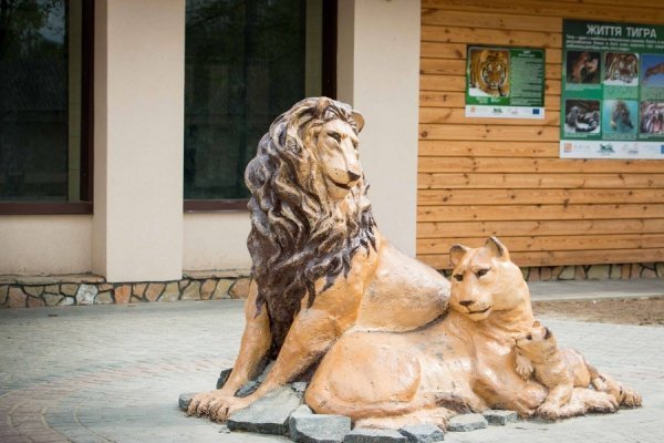 У Луцькому зоопарку можна сфотографуватись з левами та ведмедями. ФОТО 