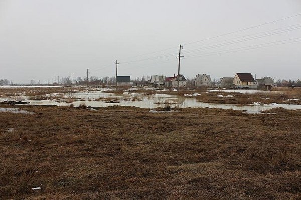 На Волині підтоплює сільгоспугіддя. ФОТО