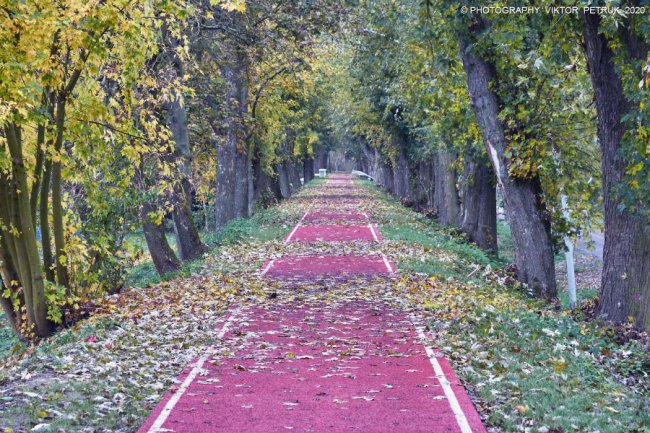 Неймовірна осінь у луцькому парку. ФОТО