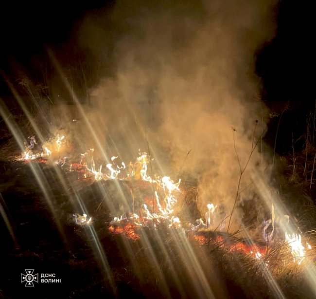 У селі під Луцьком – велика пожежа сухостою