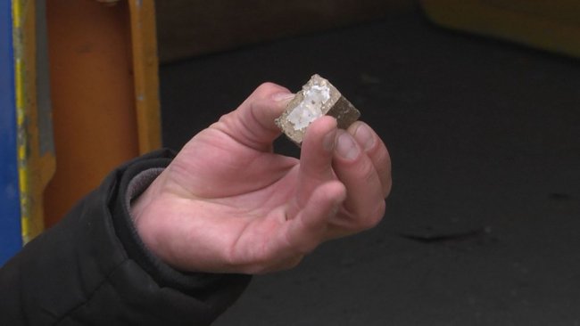 На Волині з літака розкидають вакцину від сказу. ВІДЕО