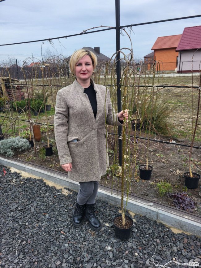 «Ми можемо возити рослини в Європу, а не навпаки», - переможниця програми «Початок» від Дія.Бізнес Ірина Антончик