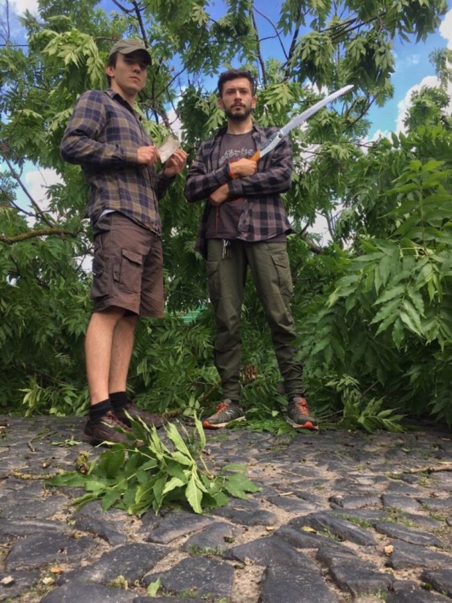 Із Лесиного ясена луцький майстер виготовлятиме музичні інструменти