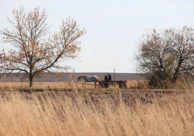 Луцький фотограф поділився атмосферними осінніми світлинами. ФОТО 