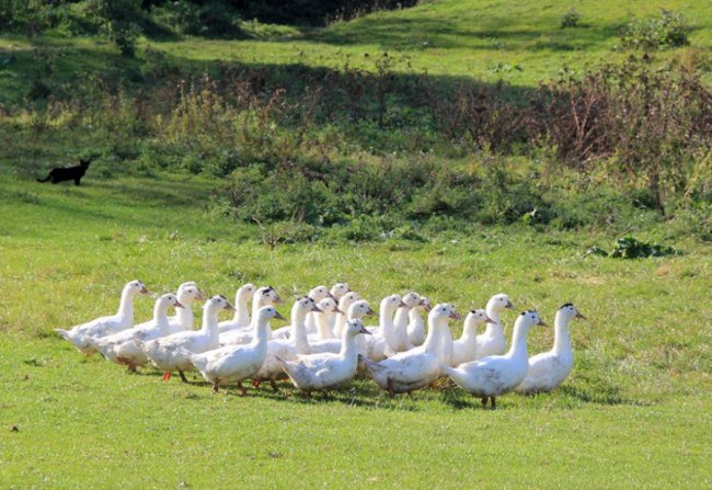 Луцький фотограф поділився атмосферними осінніми світлинами. ФОТО 