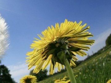 Добрі новини від ВолиньPost за 6 травня