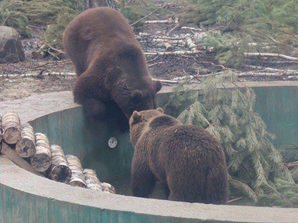 Луцький зоопарк опублікував зворушливі історії тварин, врятованих від смерті. ФОТО