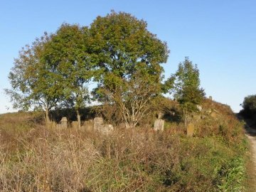 Науковці думають, як зберегти кладовища історичної Волині