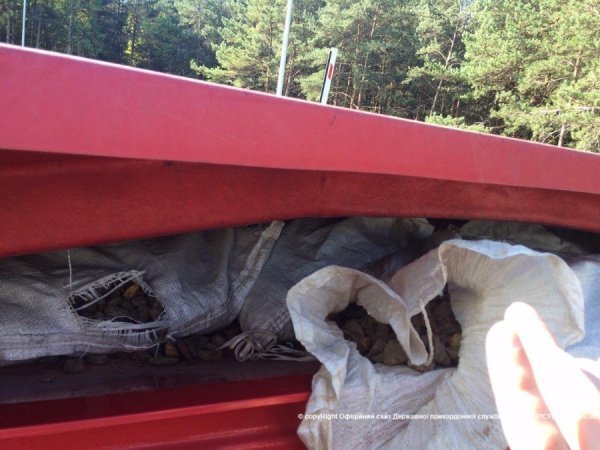 На «Ягодині» затримали 100 кілограмів бурштину. ФОТО