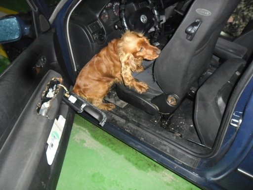 У росіянина в паливному баку прикордонники знайшли пістолет та набої. ФОТО