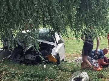 Загинули двоє дорослих та 4-річна дитина: волинянин за смертельну ДТП отримав 6 років тюрми 