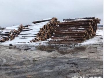 У Маневицькому районі – обшуки на пилорамах, вилучили 400 кубометрів деревини