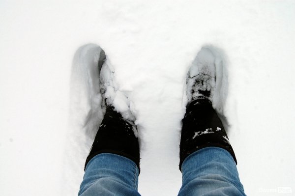 Як Луцьк замело снігом. ФОТО