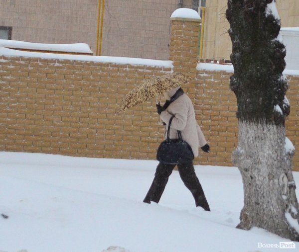 Луцьк замітає снігом. ФОТО