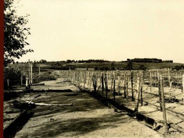 Села Волинської губернії на столітніх фото