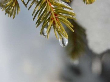 Погода в Луцьку та Волинській області на середу, 6 лютого