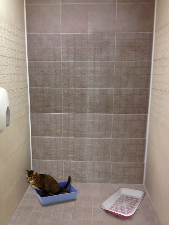 Сочинська олімпіада у фотожабах