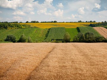 Чекати довелося три роки: волинським громадам передали обіцяну землю