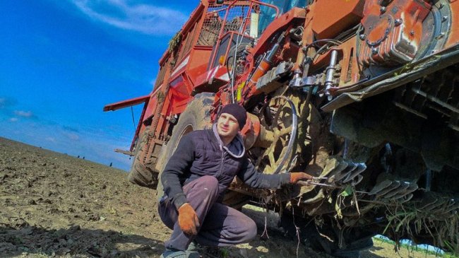 На Волині зросла урожайність цукрового буряка. ВІДЕО