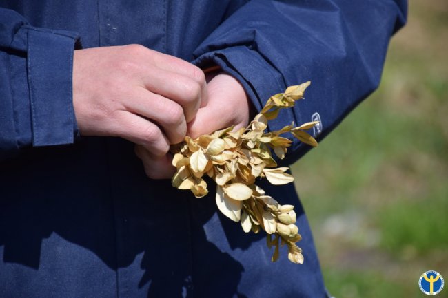 Особистий досвід: як «приборкати» примхливу ягоду