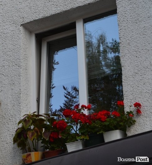 Місто, яке я люблю. Квіти Луцька